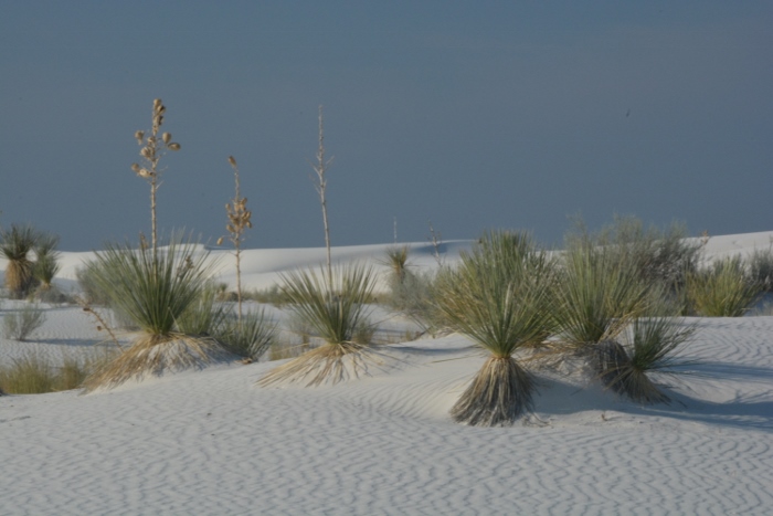 white sands dunes